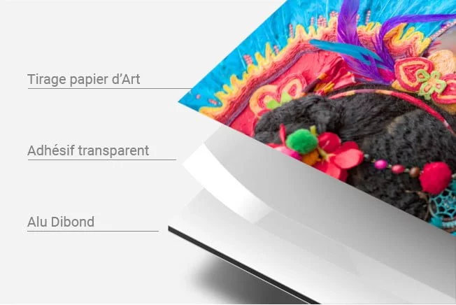 support dibond contrecollé