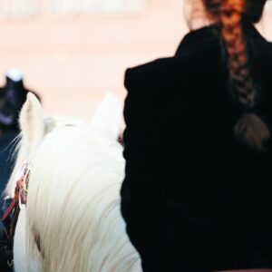 Support Dibond GARDIANE CAMARGUAISE cadre caisse américaine GARDIANE CAMARGUAISE Tirage d'art GARDIANE CAMARGUAISE encadrement galerie GARDIANE CAMARGUAISE GARDIANE CAMARGUAISE