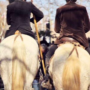 Support Dibond CAVALIERS GARDIANS cadre caisse américaine CAVALIERS GARDIANS Tirage d'art CAVALIERS GARDIANS encadrement galerie CAVALIERS GARDIANS CAVALIERS GARDIANS