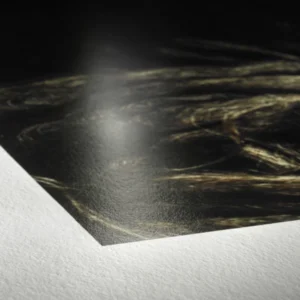 tirage photographique