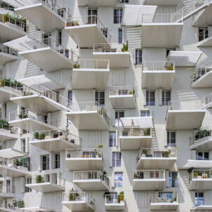 encadrement photo arbre blanc Support Dibond arbre blanc cadre caisse américaine arbre blanc tirage d'art arbre blanc