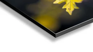 Photographie artistique feuilles d’automne dorées - Œuvre en édition limitée 7 support dibond FEUILLES AUTOMNAL