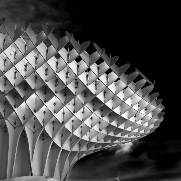 Photographie d'art noir et blanc Metropol Parasol - L'Essence de Séville - Setas de Sevilla