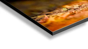 Photographie artistique douceur ambrée au cœur des bois – Œuvre en édition limitée 7 Photographie artistique douceur ambrée au cœur des bois,décoration murale élégante,papier Fine Art haut de gamme,œuvre photographique contemporaine