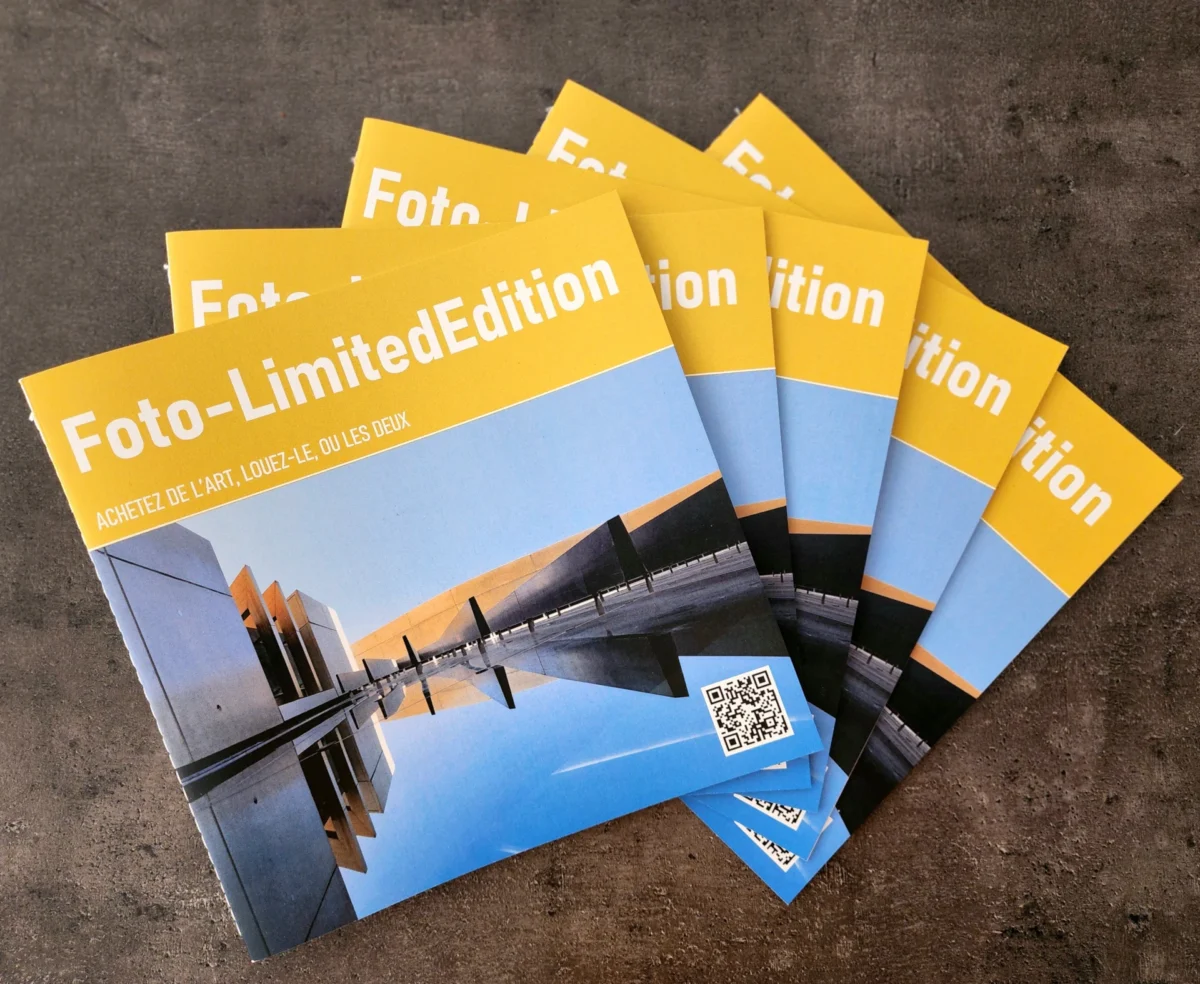 guide achat: achetez de l'art, louez-le, ou les deux 2 achetez de l'art,Guide de défiscalisation