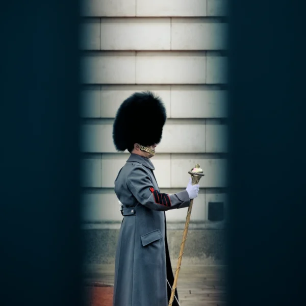 Maestro Buckingham est une photographie d'art d'un garde royal de Buckingham de profil en capote grise et bonnet noir, tenant son bâton de commandement, cadré entre deux barreaux sombres en hiver.